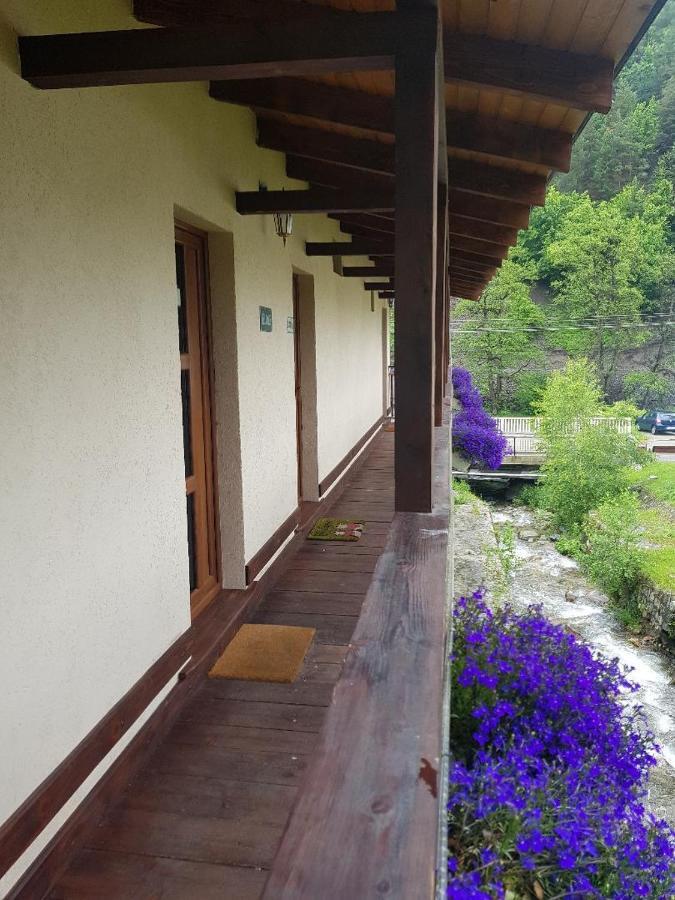 Hotel Casa Dexi Malaia Esterno foto